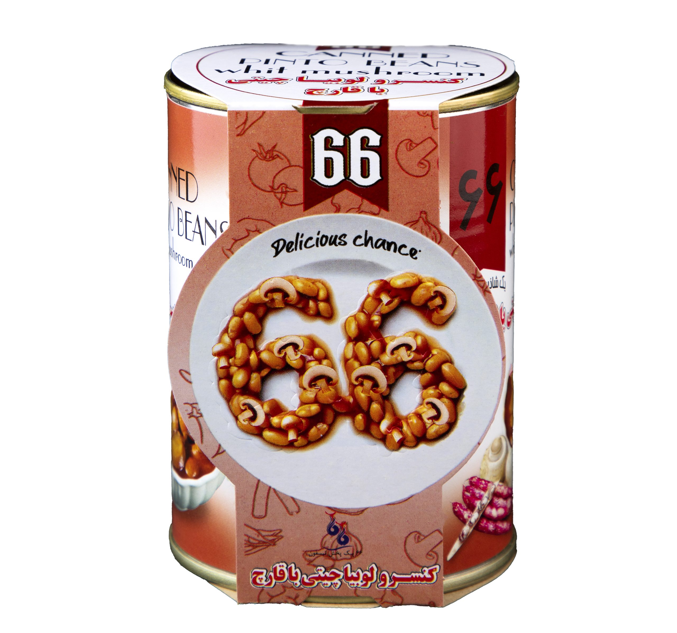 کنسرو لوبیا چیتی با قارچ 66 (12)