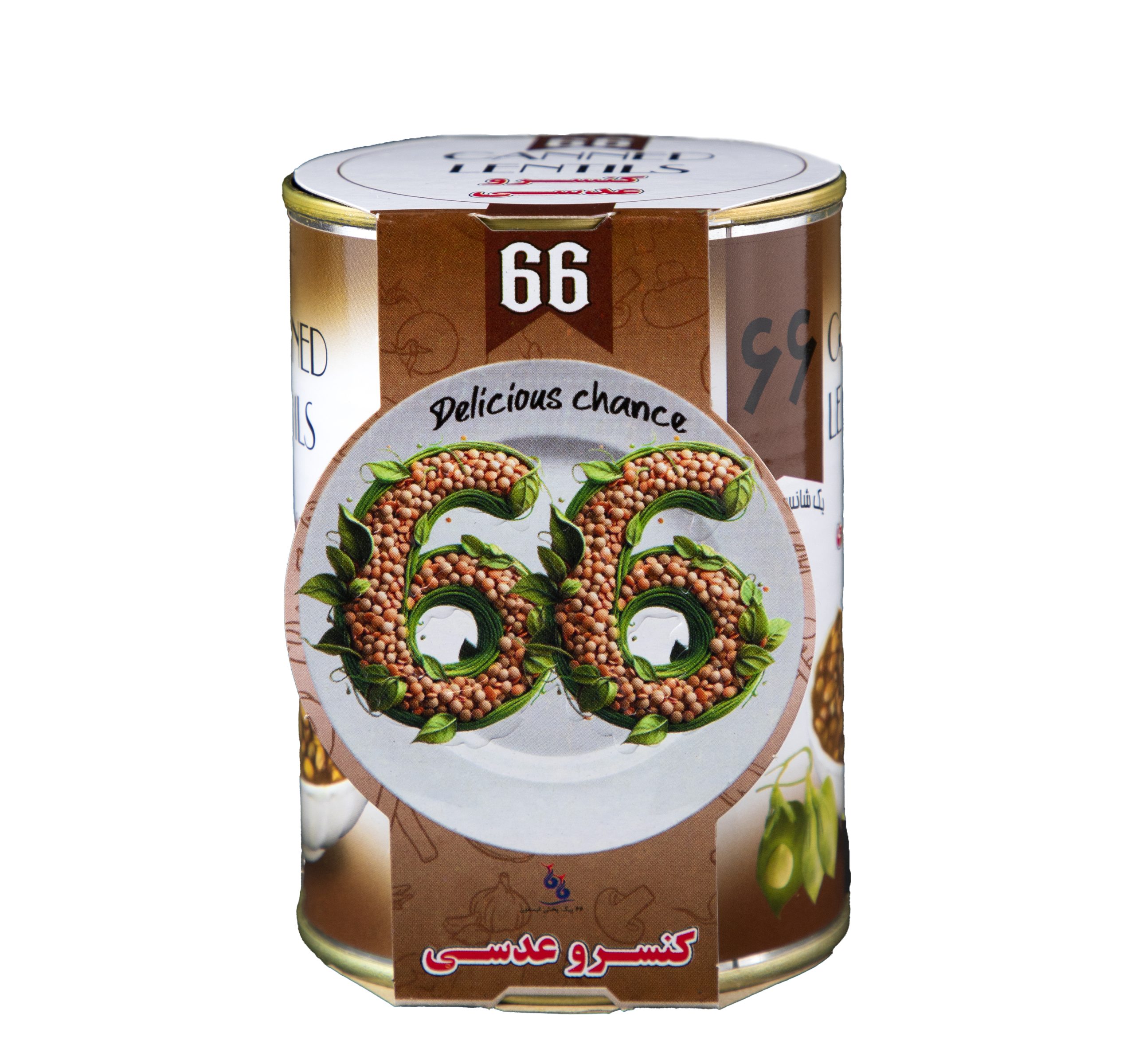 کنسرو عدسی 66 (12)