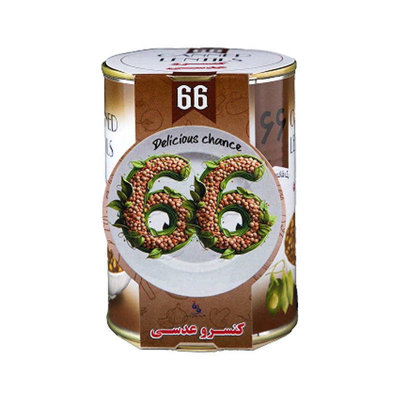 کنسرو عدسی 66 (12)